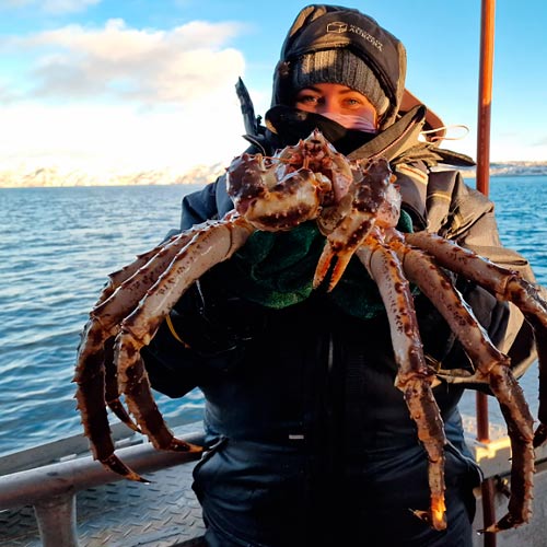 Boka Båttur med kungskrabba i Alta, Norge